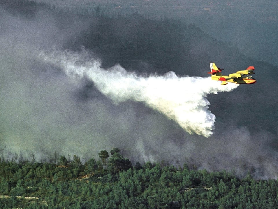 Ein gelbes Löschflugzeug versprüht Wasser über brennenden Büschen.