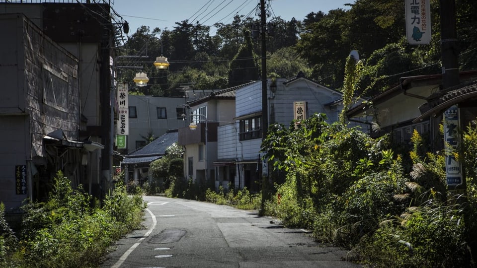Quartierstrasse mit kleinen japanischen Häusern, deren Vorgärten überwuchert sind.