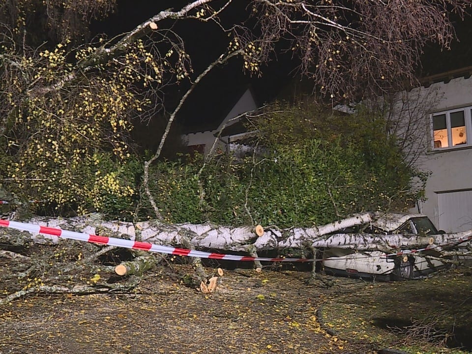 In Neuhausen ist ein Baum auf ein Fahrzeug gestürzt.