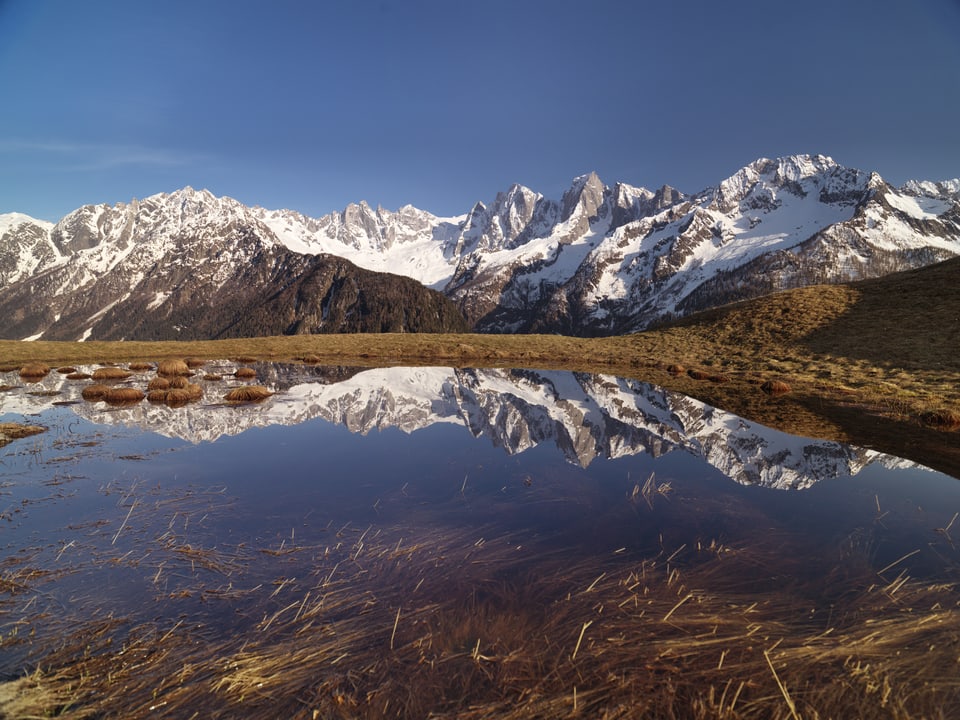 Die schneebedeckten Bergeller Alpen spiegeln sich in einer Schmelzwasserpfütze weit oberhalb Soglio/GR.