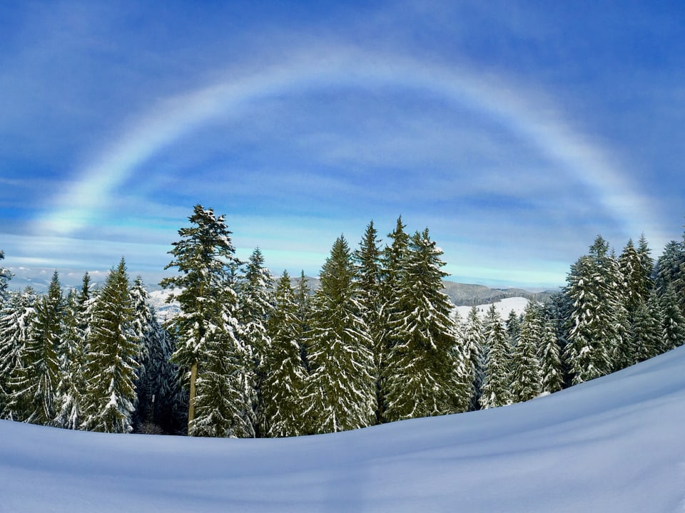 Hinter einer verschneiten Landschaft mit Bäumen spannt sich ein Nebelbogen über den blau-weisslichen Himmel. Sieht ähnlich aus wie ein Regenbogen.