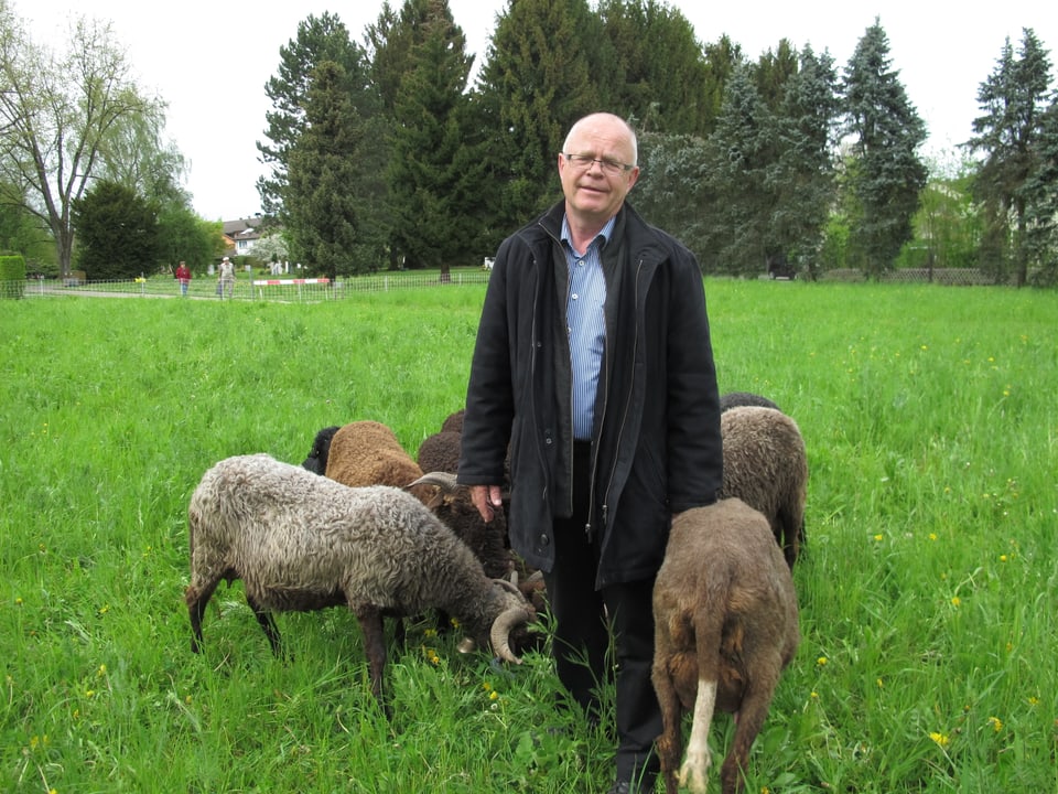Walter Glauser, zuständig für die Stadtberner Friedhöfe, hatte die Idee mit den Schafen.