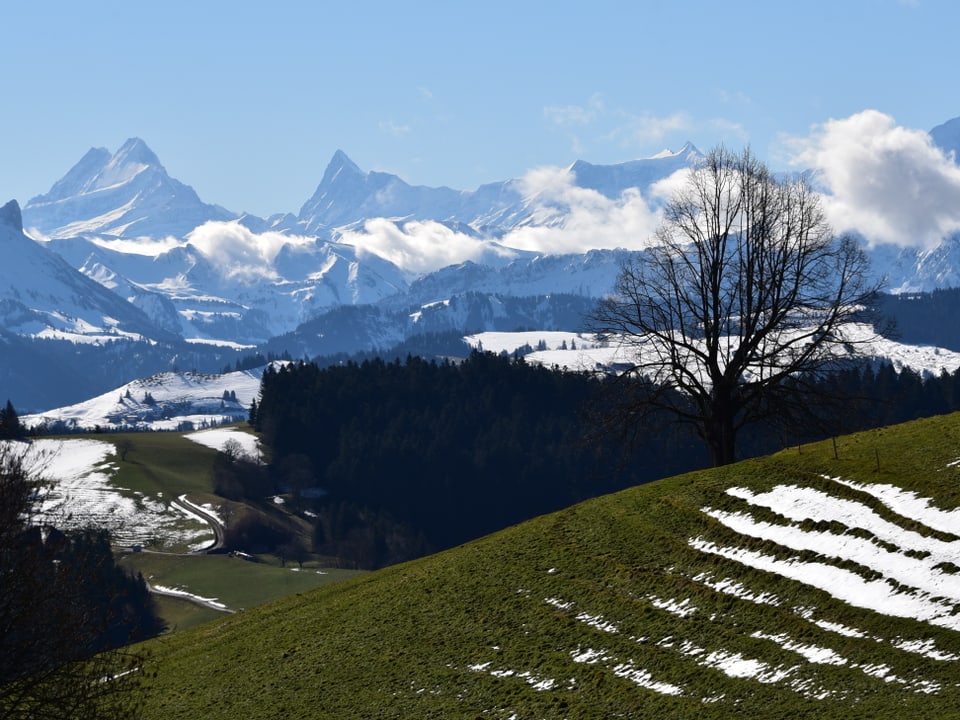 Sonniges Foto von Hügeln und Schneebergen im Hintergrund. 
