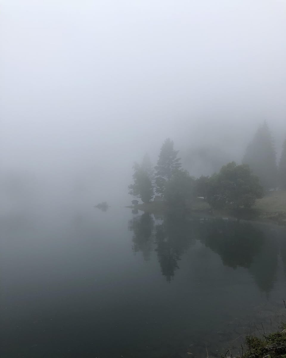 Blick auf See im Nebel