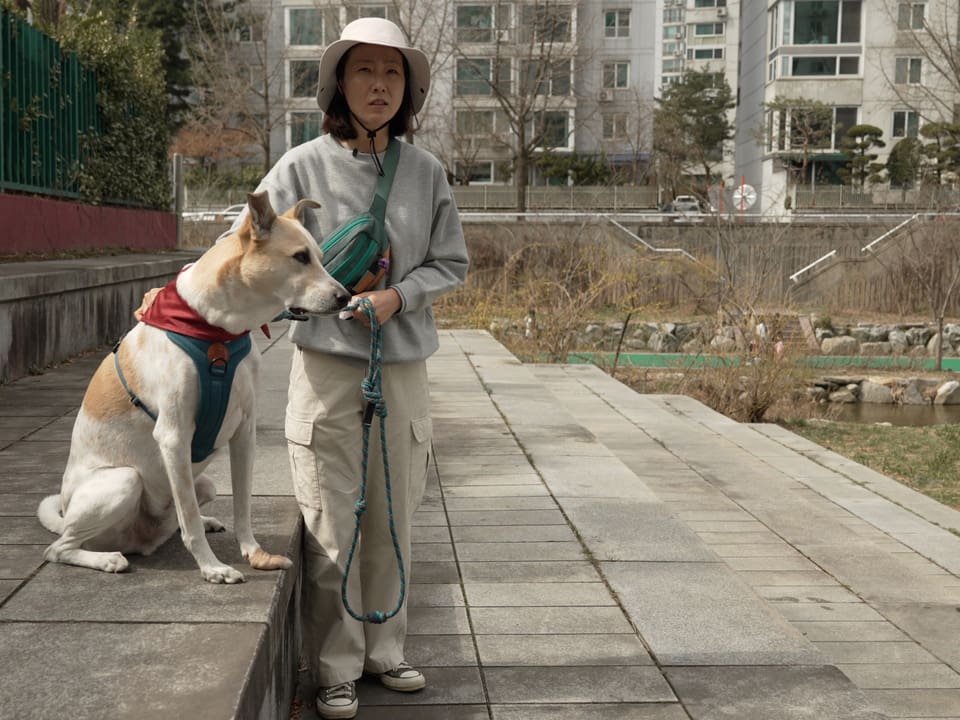 Eine Frau steht mit ihrem Hund auf einer breiten Treppe.