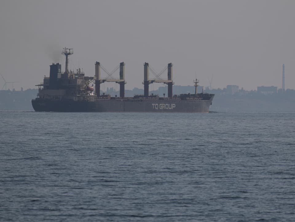 Ein Frachtschiff liegt/fährt vor einem Hafen.