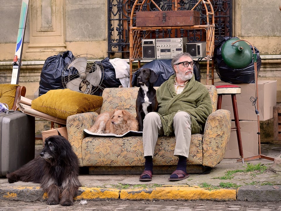 Ein Mann sitzt mit Hunden auf einem Sofa auf einer Strasse.