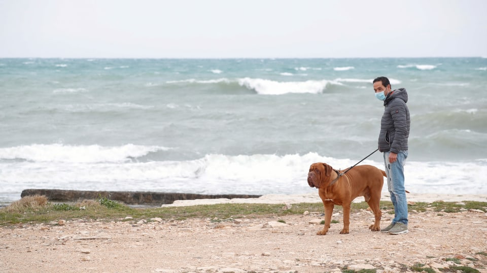 Italinier mit Hund am Strand