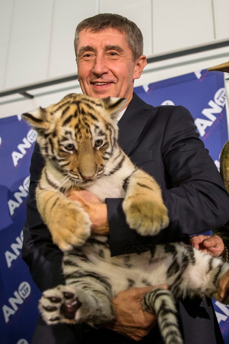 Ein Mann mit einem Tiger-Kätzchen.