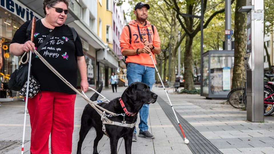 Zwei sehbehinderte Personen mit Blindenhunden gehen auf einem Gehweg.