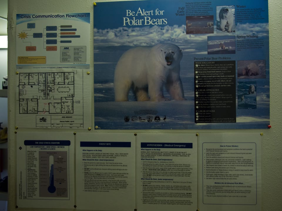 Ein Schuld warnt vor Eisbären und erklärt, wie man sich verhalten soll.
