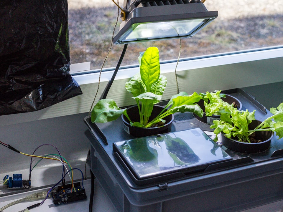 Box mit Pflanzen, Elektronikbauteile und LED Lampe