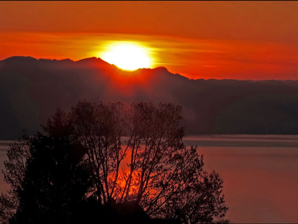Sonnenaufgang am Zürichsee
