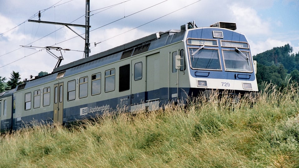 Eine blau-weisse S-Bahn fährt entlang einer Wiese.