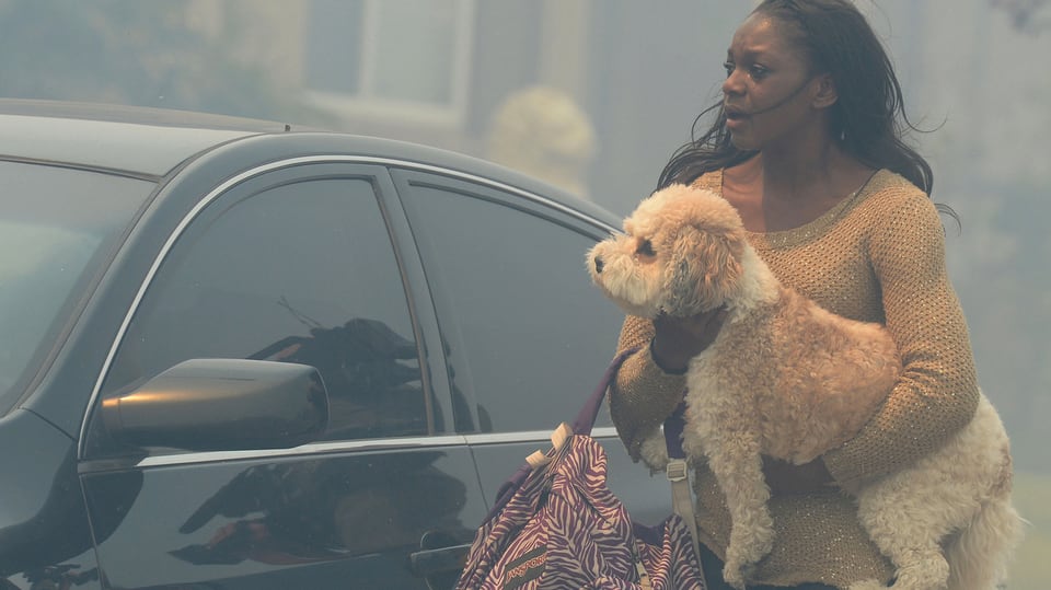 Frau mit Hund vor einem Auto, das von Rauch eingehüllt ist