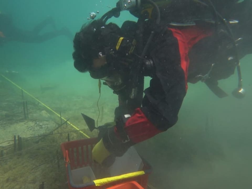 Ein Taucher legt Fundstücke am Seegrund frei