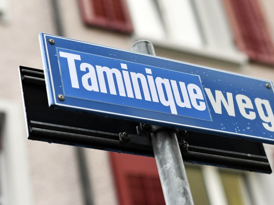 Ein Strassenschild in Zürich, das mit einem Sticker mit der Aufschrift «Taminique» überklebt ist.