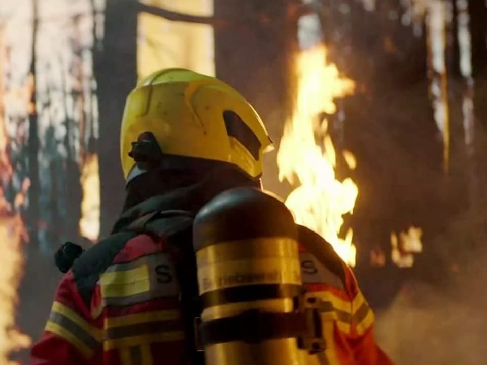 Ein Waldbrand, davor eine Person von der Feuerwehr, von hinten zu sehen. Sie trägt einen gelben Helm.
