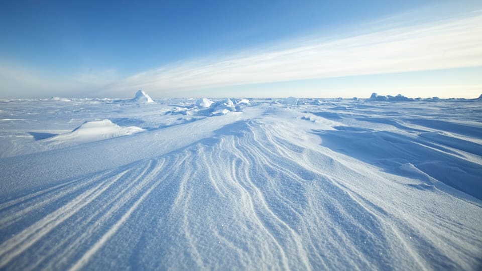 Luftabdrücke im Packeis in der Arktis. (reuters)