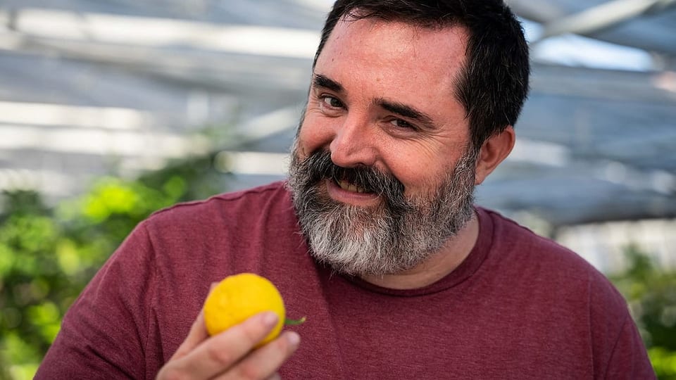 Zitrusbauer Niels Rodin hält eine Yuzu-Zitrone in der Hand.