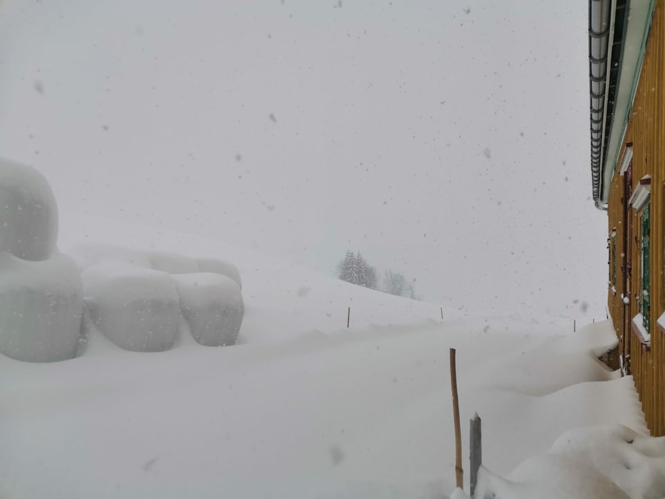 Gonten/AI, 900 m ü. M. Viel Neuschnee in Gonten