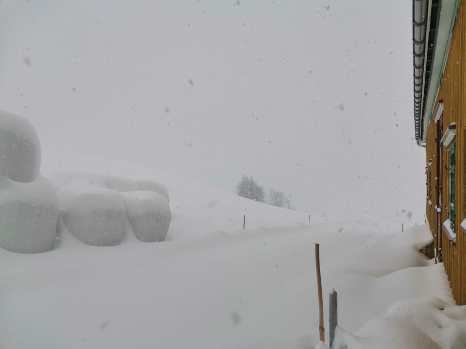 Viel Neuschnee in Gonten