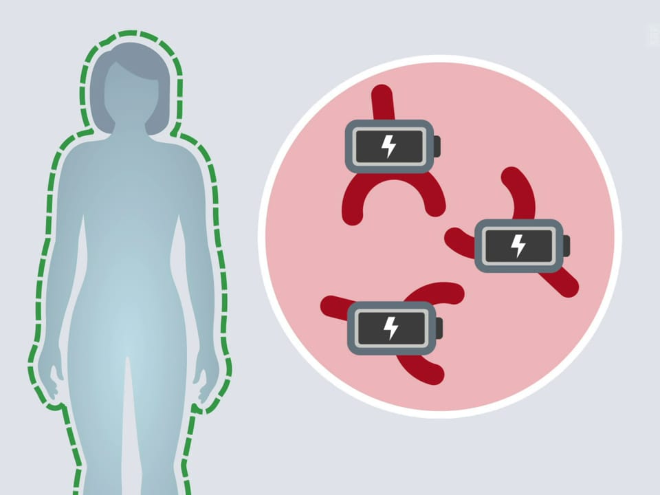 Immunsystem-Grafik