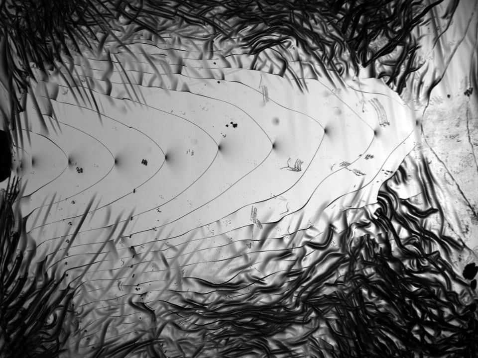 schwarzweisse Fotoreihe, sieht aus wie ein Teich mit Schilf, zeigt aber einen dynamischen Bruch bei elastischem Material