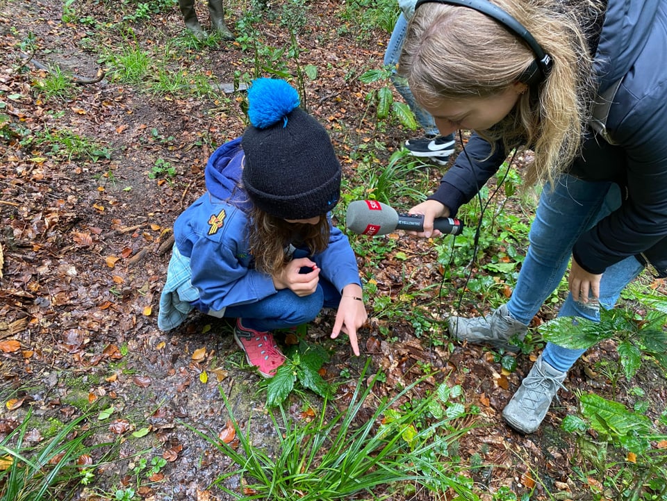 Lilly hat im Wald Erdbeeren gefunden.