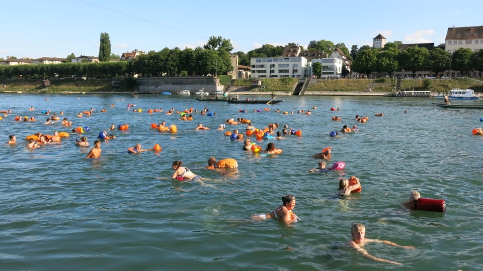 Viele Menschen schwimmen im Rhein