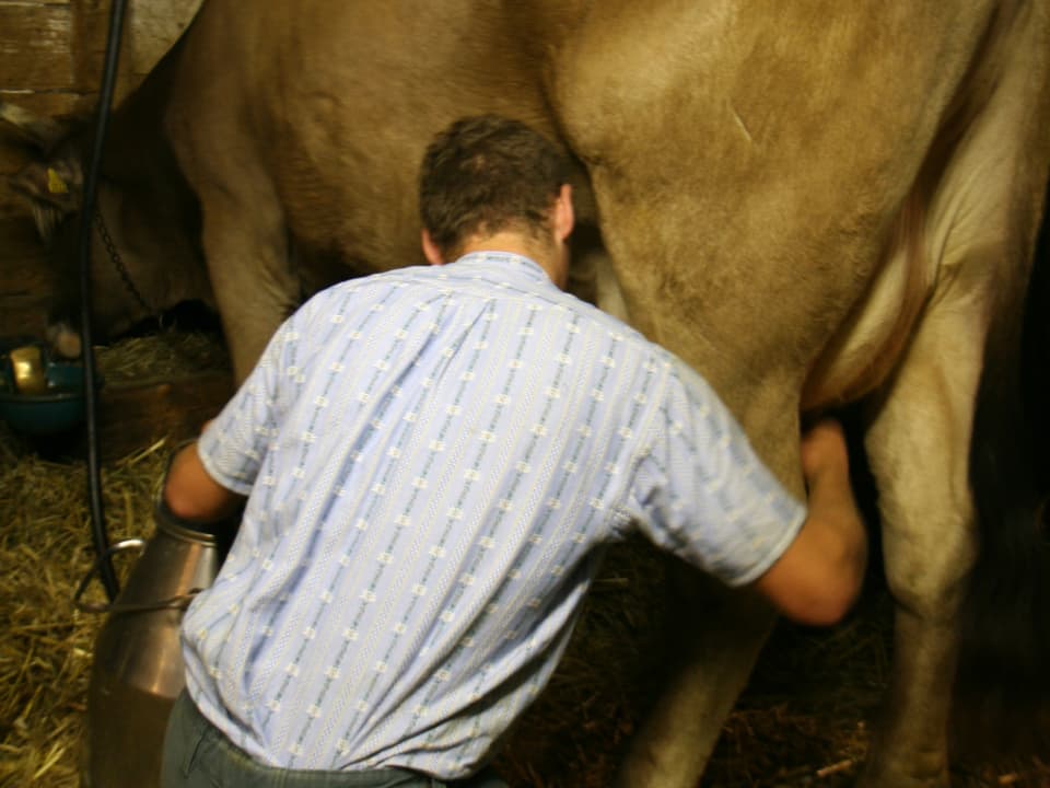 Bauer Ueli Biser kann bis zu 20 Liter Milch aus einer Kuh rausholen.