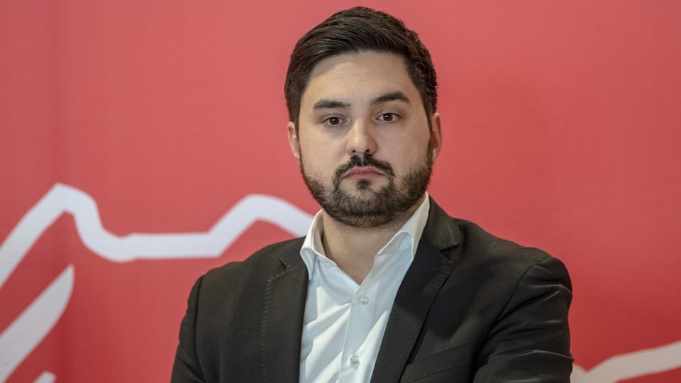 Wermuth vor rotem Hintergrund.