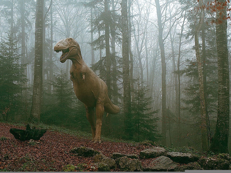 Figur eines Tarbosaurier im herbstlichen Wald.