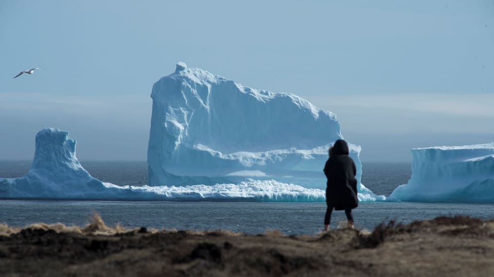 Symbolbild: Eine Person beobachtet einen vorbeiziehenden Eisberg auf dem Meer.