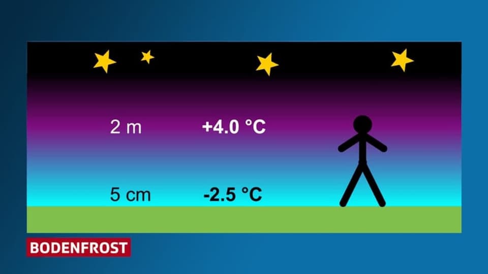 Bodenfrost: In 2 Meter Höhe +4 Grad, 5 Zentimeter über Grund Bodenfrost mit -2,5 Grad. 