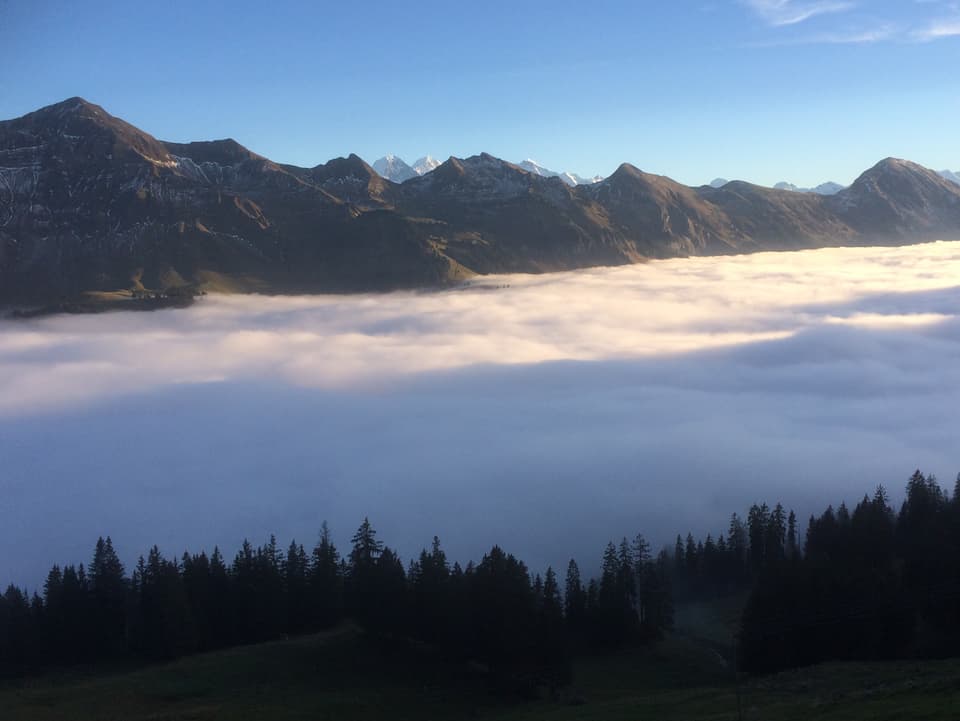 Unten Tannenwald, dann ein Tal gefüllt mit Nebel, dahinter von der Sonne beschienene Berge, im Hintergrund Schneeberge. Der Himmel ist blau, über dem Nebel ist es strahlend schön. 
