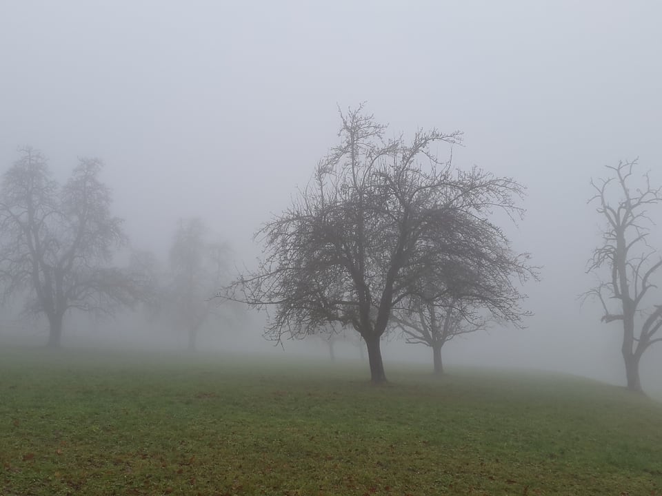 Landschaft mit Nebel