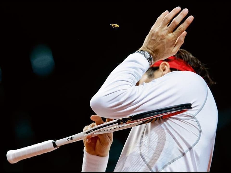 Roger Federer verteidigt sich gegen eine Wespe.