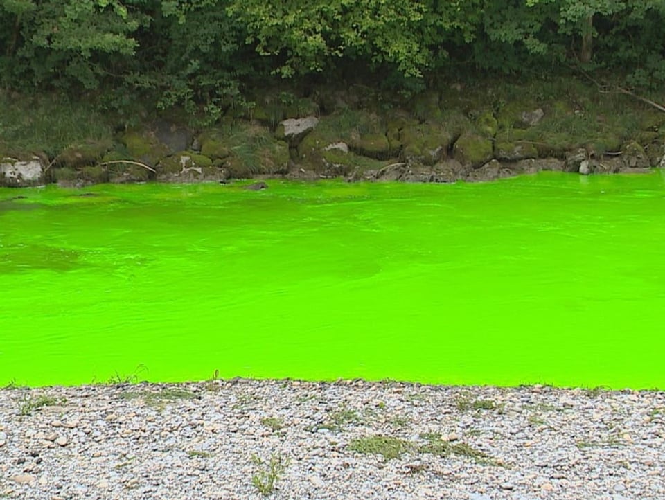 grüner Fluss