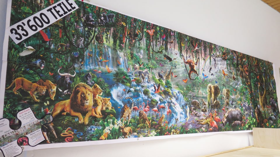 An einer Wand aufgehängte Vorlage des Puzzles: Viele Tiere in einer Urwaldlandschaft.