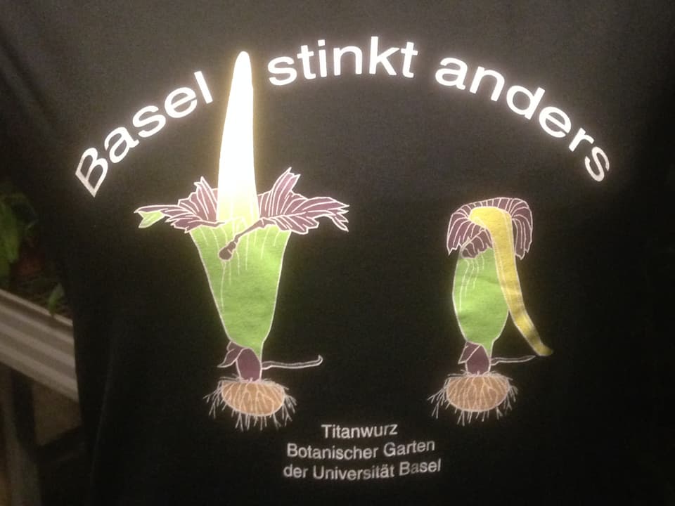 T-Shirt mit Titanwurz und Slogan «Basel stinkt anders».