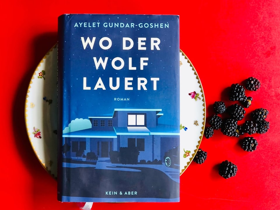 Eine Lektüre, die piekst wegen der Brombeerstacheln Der Roman «Wo der Wolf lauert» von Ayelet Guzndar-Goshen ist auf einem Teller, daneben liegen Brombeeren.