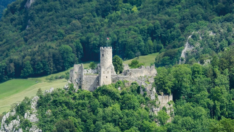 Ruine einer Burg auf einem bewaldeten Hügel.