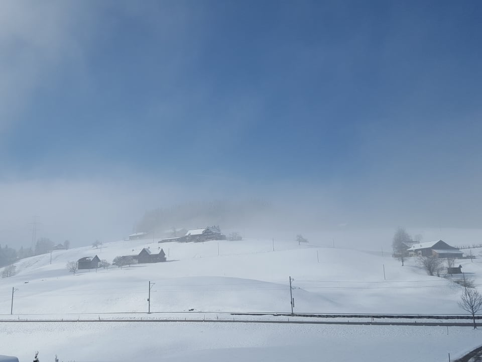 Weisse Landschaft, blauer Himmel, Nebel.