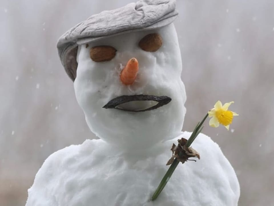 2. April: Bremgarten / BE Schneemann