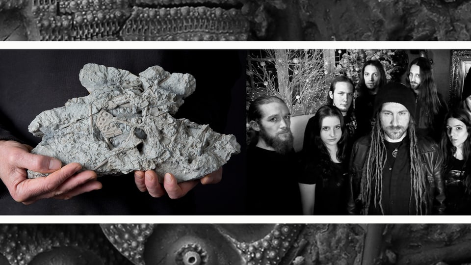 Links: das Fossil Paracidaris Eluveitie, rechts: Bandfotografie von Eluveitie