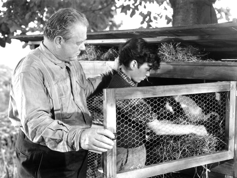 Ein älterer Mann und ein Jugendlicher stehen vor einem Hasenstall. Durch die geöffnete Gittertür fasst der Junge ins innere des Stalls.