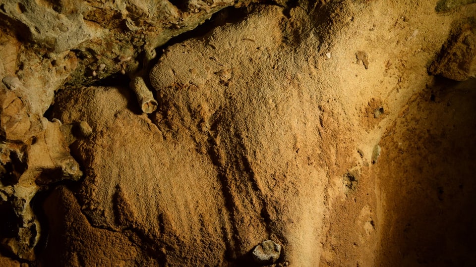 Aufnahme einer Höhlenwand, auf der längliche Rillen in die Oberfläche eingeritzt sind.