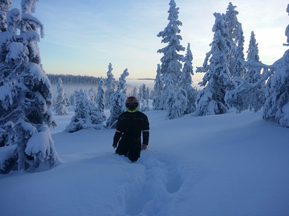 In Lappland scheint die Natur keine Grenzen zu kennen. 