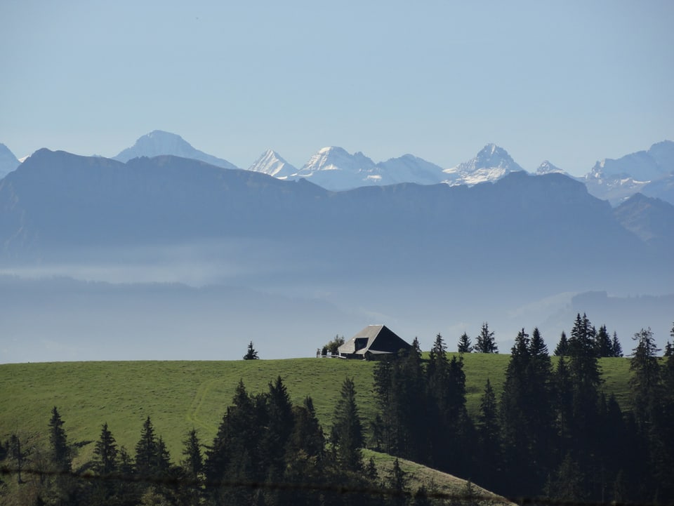 Blick über Emmentaler Wiesen auf die Alpenkette.